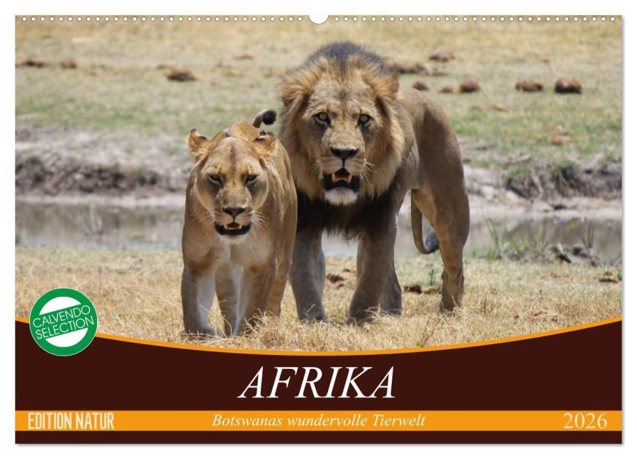 Afrika. Botswanas wundervolle Tierwelt (Wandkalender 2026 DIN A2 quer), CALVENDO Monatskalender - Elisabeth Stanzer