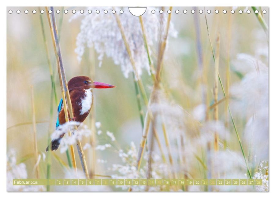 InsideView 7