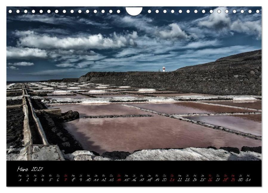 InsideView 8