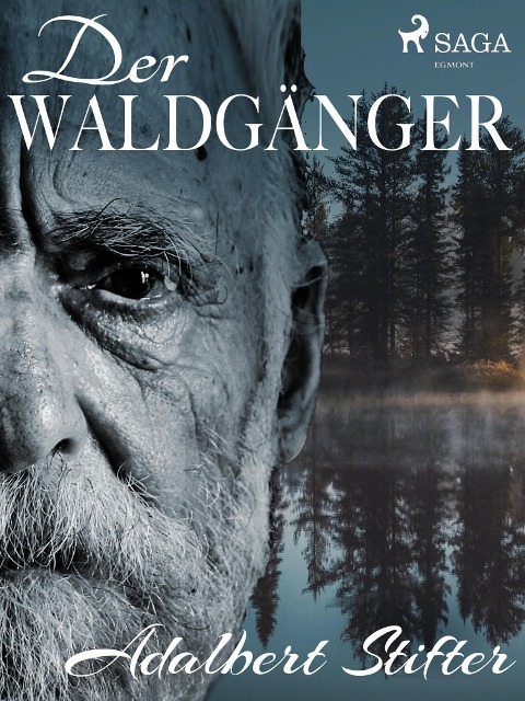 Der Waldgänger - Adalbert Stifter