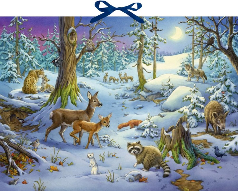 Sound-Adventskalender - Hört ihr die Tiere im Winterwald? - 