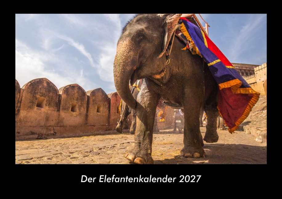 Der Elefantenkalender 2027 Fotokalender DIN A3 - Tobias Becker