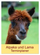 Cover-Bild zum Titel 'Alpaka und Lama Terminplaner (Wandkalender 2026 DIN A2 hoch), CALVENDO Monatskalender' von 'Kattobello Kattobello'