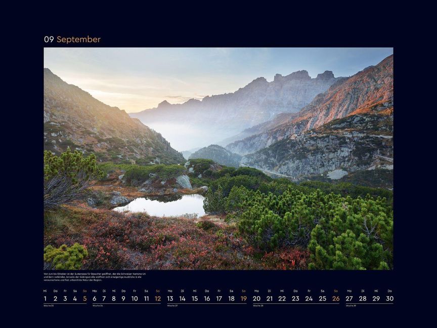 InsideView 12