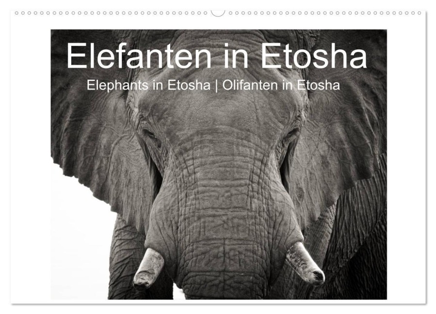 Elefanten in Etosha (Wandkalender 2026 DIN A2 quer), CALVENDO Monatskalender - Irma van der Wiel