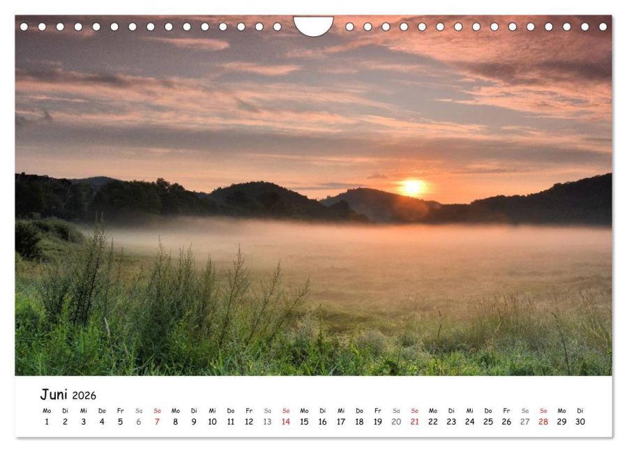 InsideView 11