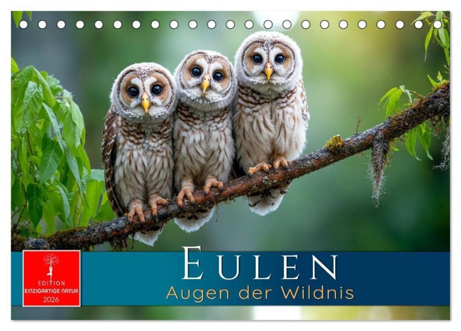 Eulen - Augen der Wildnis (Tischkalender 2026 DIN A5 quer), CALVENDO Monatskalender - Roder Roder