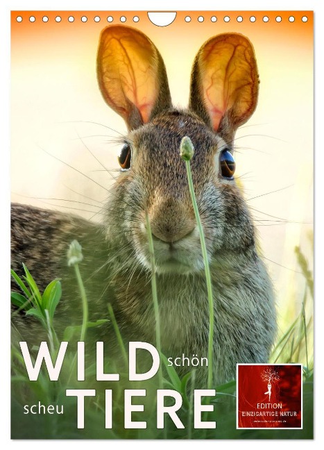 Wildtiere - schön und scheu (Wandkalender 2024 DIN A4 hoch), CALVENDO Monatskalender - Peter Roder