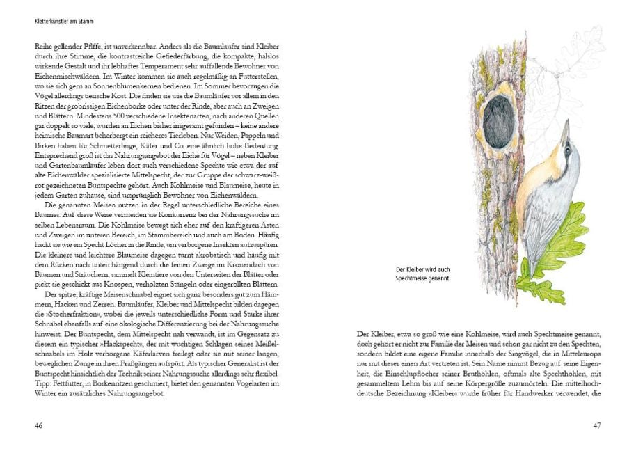 InsideView 1