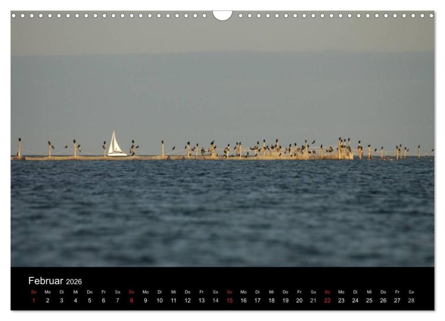 InsideView 7