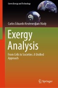 Cover-Bild zum Titel 'Exergy Analysis' von 'Carlos Eduardo Keutenedjian Mady'