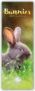 Bunnies - Hasen - Kaninchen 2026 - Slimline-Kalender - Carousel Calendar