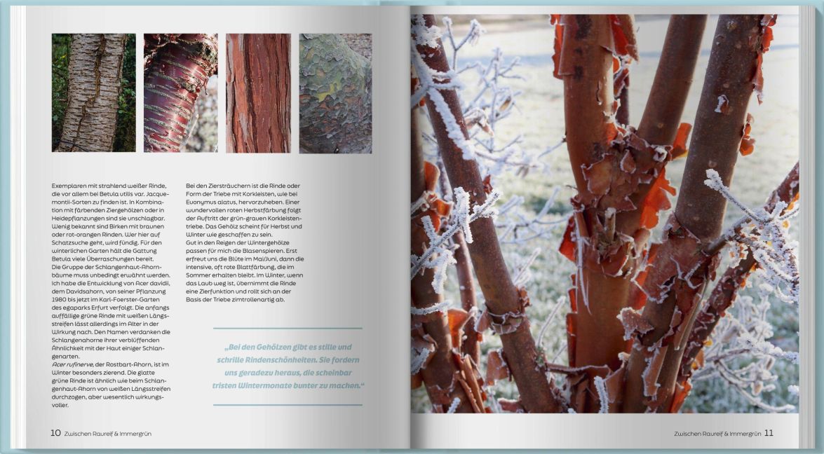 InsideView 5