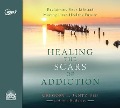 Cover-Bild zum Titel 'Healing the Scars of Addiction' von 'Gregory L Jantz'