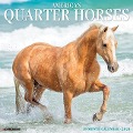 American Quarter Horses 2024 12 X 12 Wall Calendar - Willow Creek Press