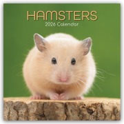 Hamsters - Hamster 2026 - 16-Monatskalender - Gifted Stationery Co. Ltd
