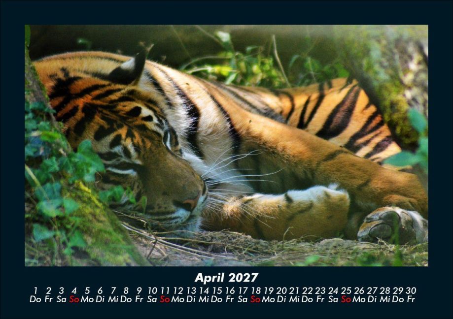 InsideView 8