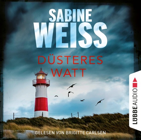 Düsteres Watt - Sabine Weiß