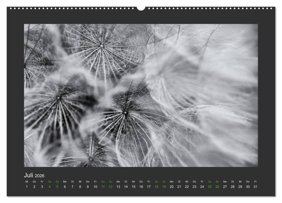 InsideView 11