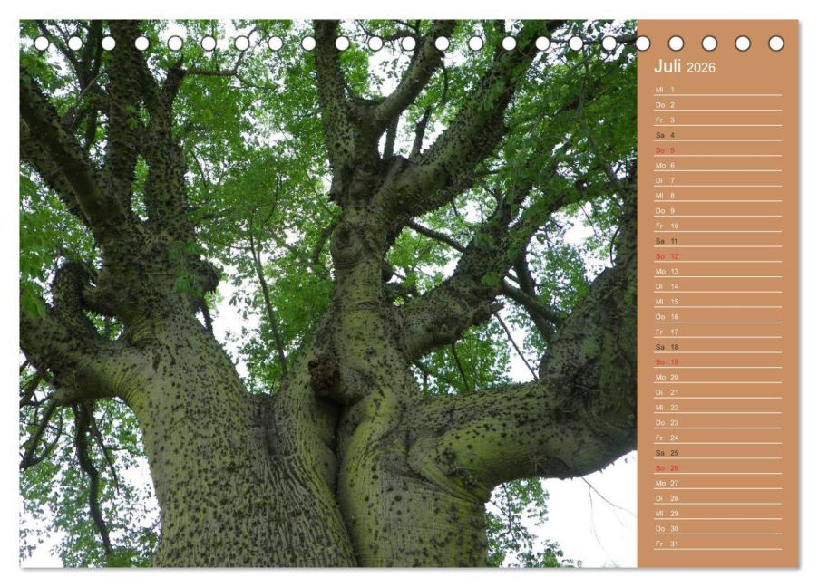 InsideView 12