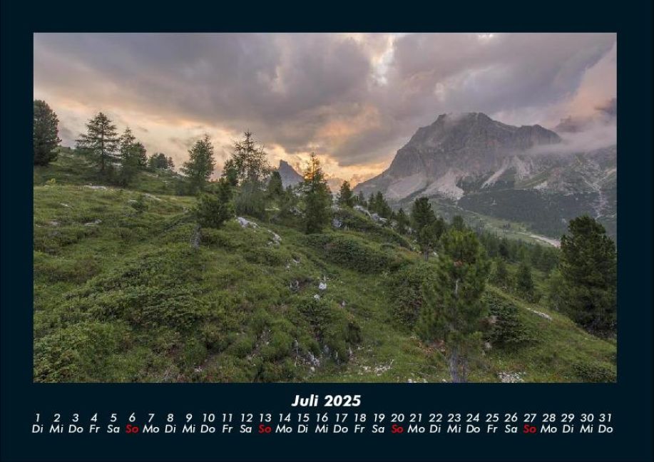InsideView 11