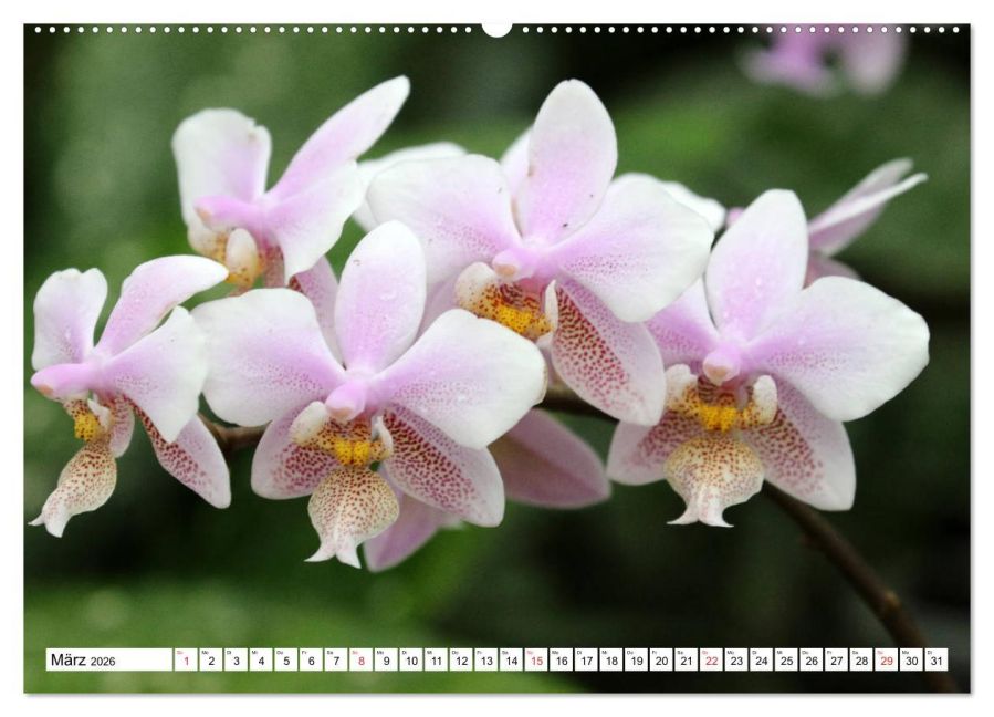 InsideView 8