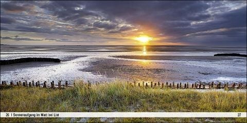 InsideView 4