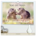 Tiere der Alpen - Murmeltier-Kinder (hochwertiger Premium Wandkalender 2025 DIN A2 quer), Kunstdruck in Hochglanz - Judith Kuhn
