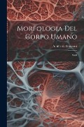 Morfologia Del Corpo Umano: Studi - Achille De Giovanni