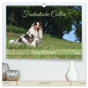 Cover-Bild zum Titel 'Fantastische Collies - Sieger der Herzen (hochwertiger Premium Wandkalender 2026 DIN A2 quer), Kunstdruck in Hochglanz' von 'Yvonne Janetzek'