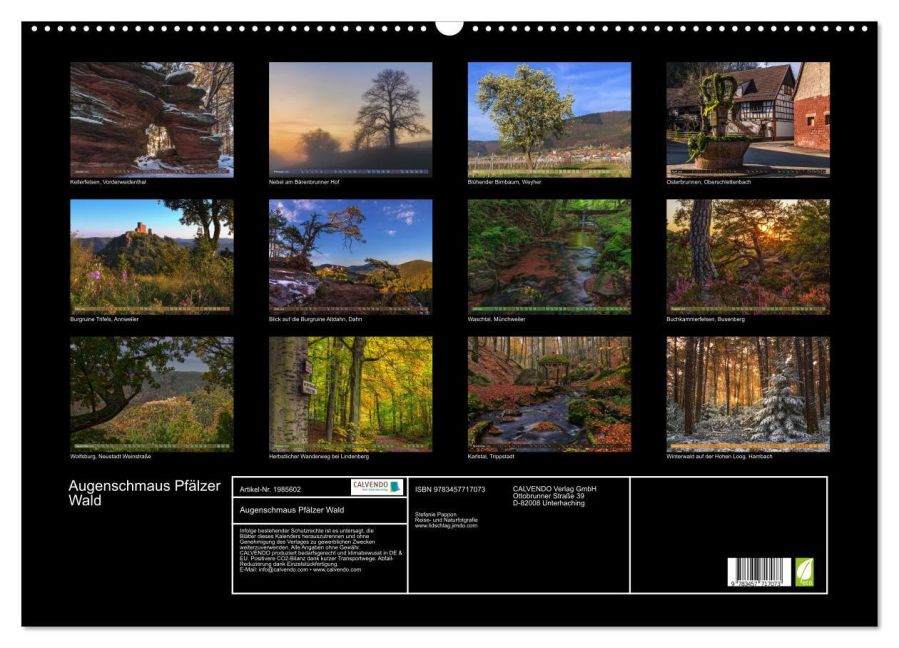 InsideView 5