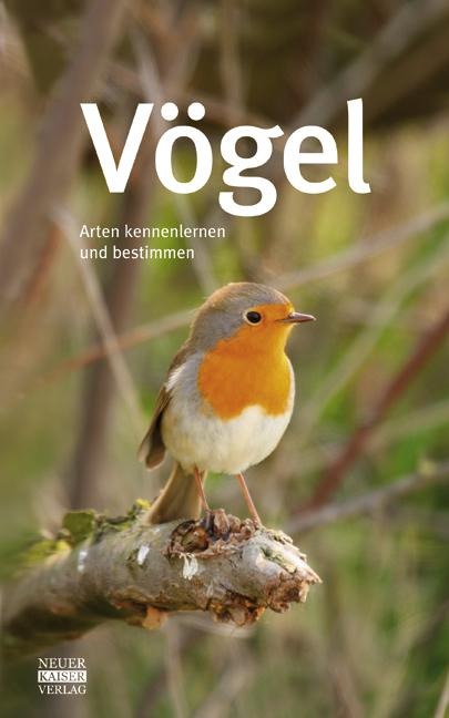 Vögel - 