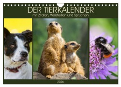 Cover-Bild zum Titel 'Der Tierkalender mit Zitaten, Weisheiten und Sprüchen (Wandkalender 2026 DIN A4 quer), CALVENDO Monatskalender' von 'AD DESIGN Photo PhotoArt Dölling'