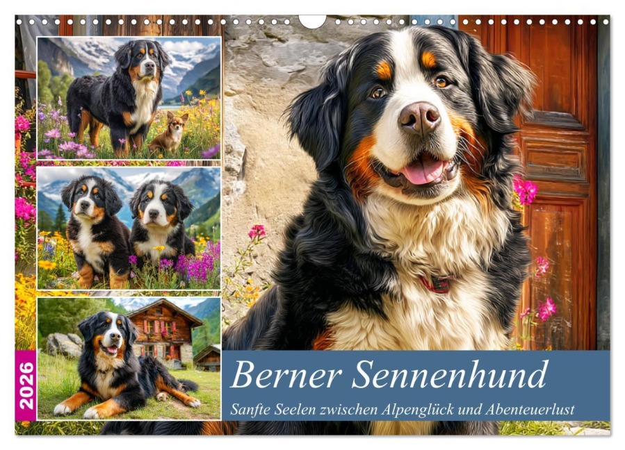 Berner Sennenhund. Sanfte Seelen zwischen Alpenglück und Abenteuerlust (Wandkalender 2026 DIN A3 quer), CALVENDO Monatskalender - Rose Hurley
