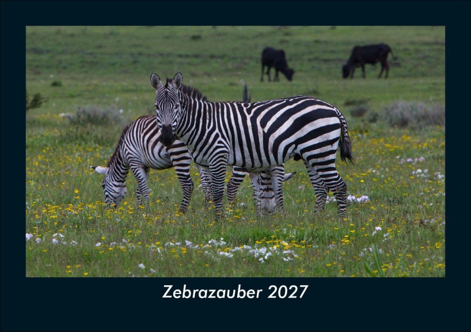 Zebrazauber 2027 Fotokalender DIN A5 - Tobias Schmitt, Kevin Heber