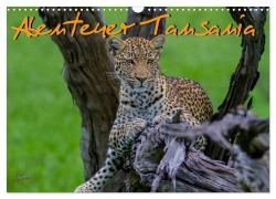 Cover-Bild zum Titel 'Abenteuer Tansania, Afrika (Wandkalender 2027 DIN A3 quer), CALVENDO Monatskalender' von 'Frank Struckmann'