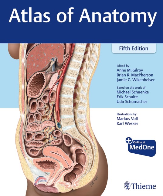 Atlas of Anatomy - Anne M Gilroy, Brian R MacPherson, Erik Schulte, Michael Schuenke, Jamie Wikenheiser