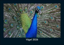 Cover-Bild zum Titel 'Vögel 2026 Fotokalender DIN A5' von 'Tobias Becker'