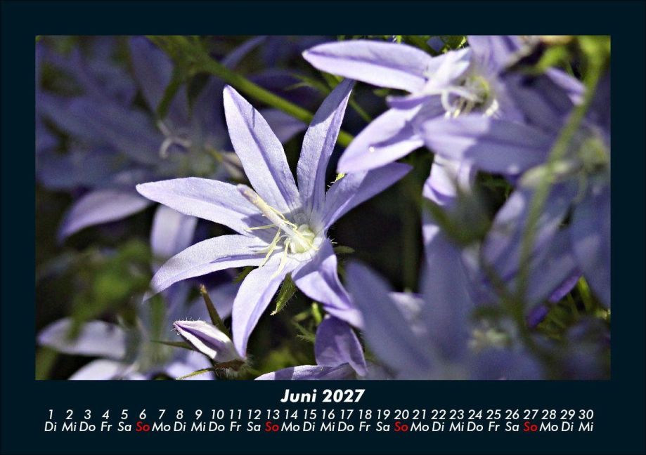 InsideView 10