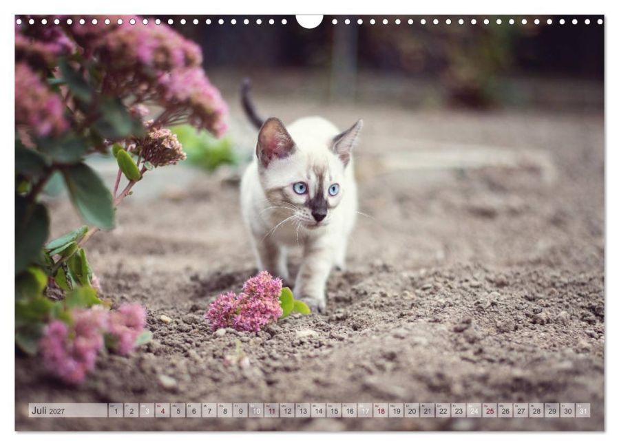 InsideView 12