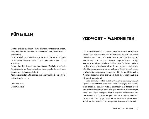 InsideView 2