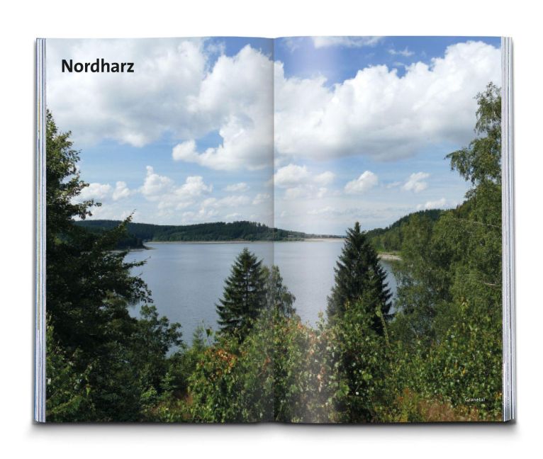 InsideView 16