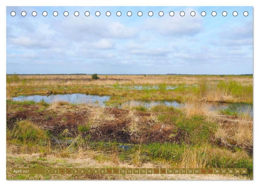 InsideView 9