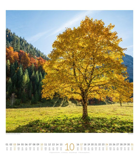 InsideView 10