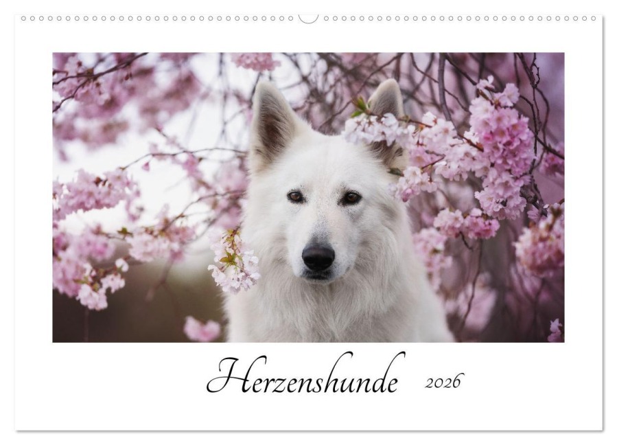 Herzenshunde 2026 (Wandkalender 2026 DIN A2 quer), CALVENDO Monatskalender - Madlen Kudla - Photographie