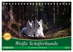 Cover-Bild zum Titel 'Weiße Schäferhunde in schönen Landschaften (Tischkalender 2026 DIN A5 quer), CALVENDO Monatskalender' von 'Martina Schikore'