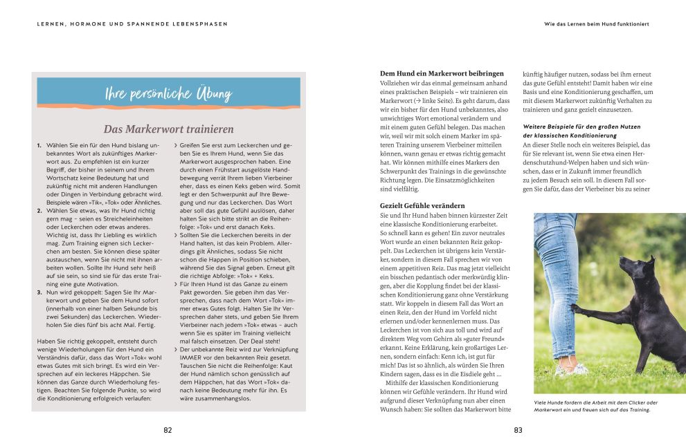 InsideView 8