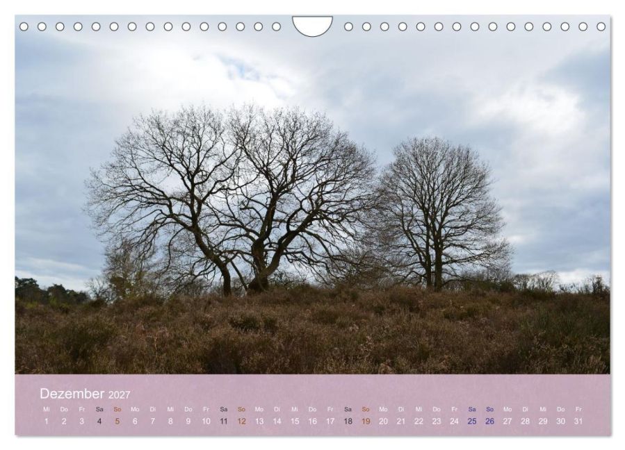InsideView 4