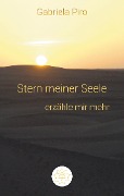 Cover-Bild zum Titel 'Stern meiner Seele' von 'Gabriela Piro'