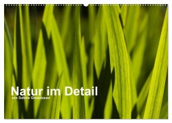 Cover-Bild zum Titel 'Natur im Detail (Wandkalender 2026 DIN A2 quer), CALVENDO Monatskalender' von 'Sabine Grossbauer'